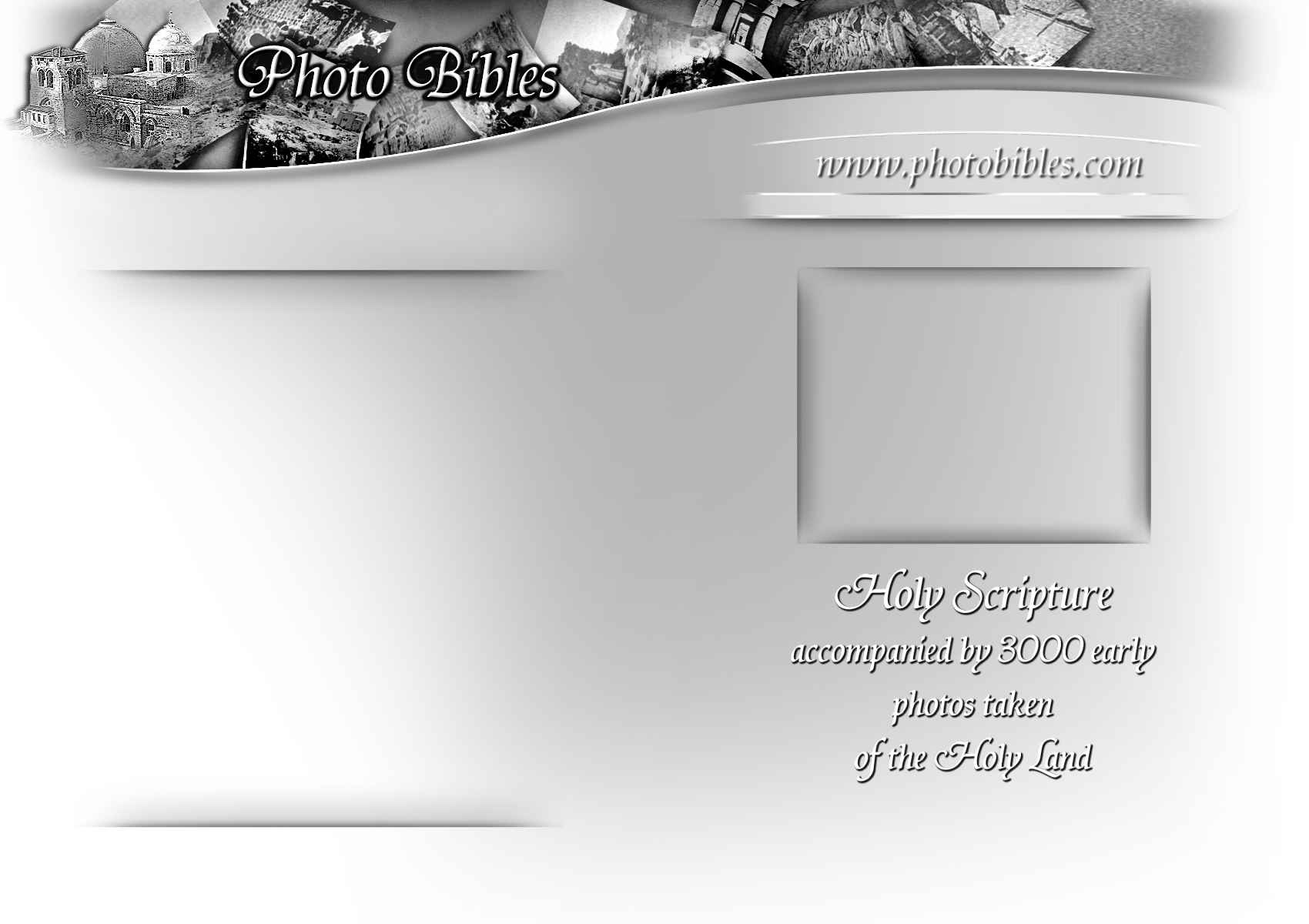 Holly Scripture background